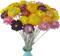 40 Pcs Natural Dried Daisy Flowers with Stems – Summer Rustic Dried Flower Bouquet for Tabletop Decor, Wedding, Home, Office, Party, DIY Floral Arrangements & Crafts